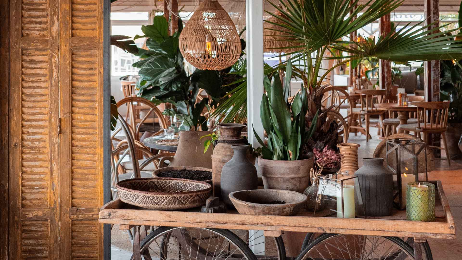 Interieurshot van een kar met mediterraanse accessoires en diverse kruiden