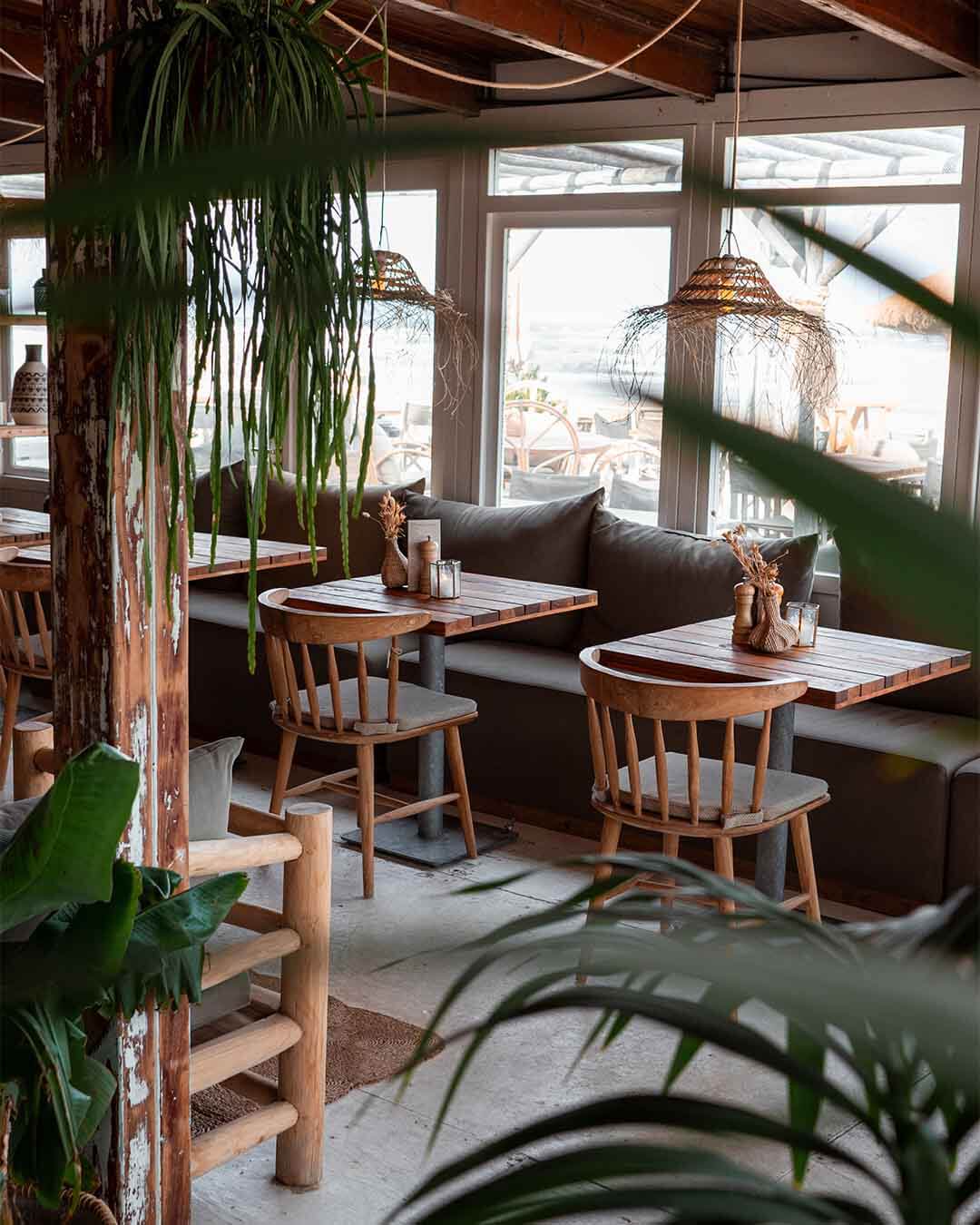 Interieurshot tussen groene planten